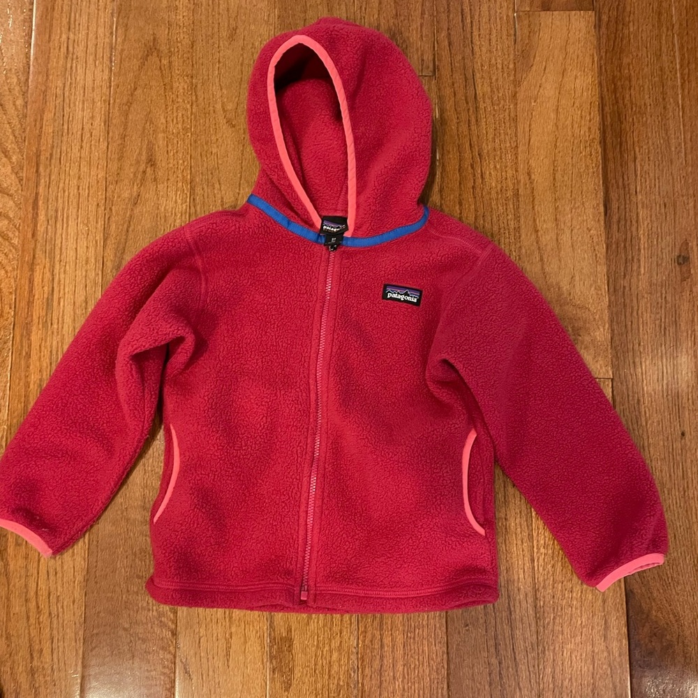Patagonia Red Fleece Hoodie